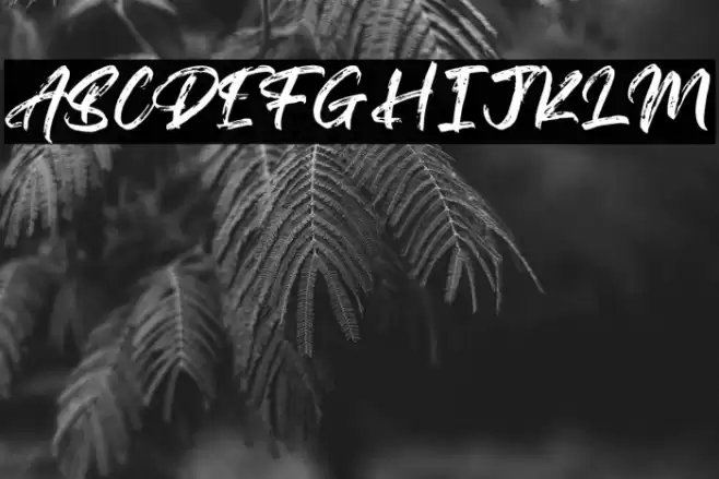 Agethsa Font examples