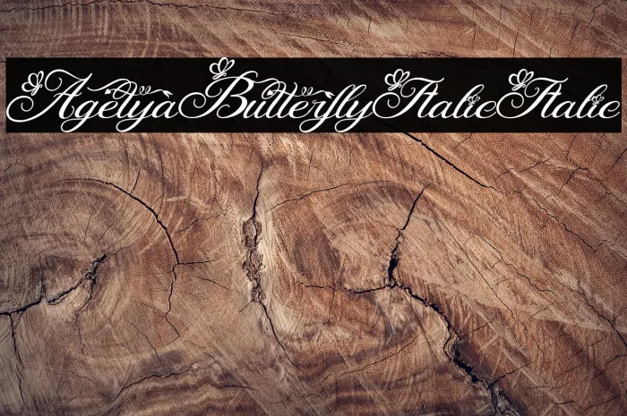 Agetya Butterfly Italic Italic Example 3