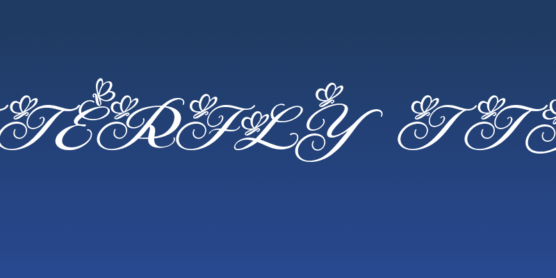 Agetya Butterfly Italic Italic Social Header