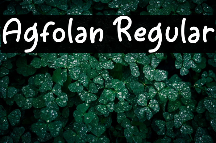 Agfolan Regular Example 1