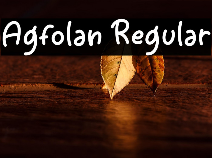 Agfolan Regular Example 2