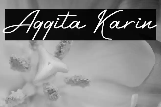 Aggita Karin Font examples