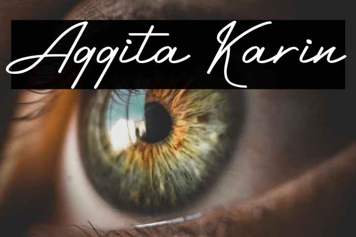 Aggita Karin Example 2