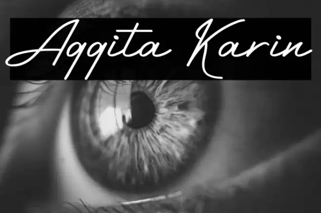 Aggita Karin Font examples