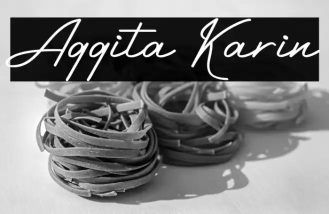 Aggita Karin Font examples