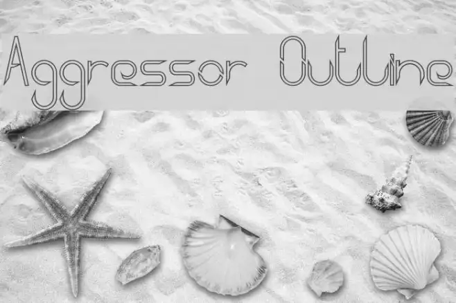 Aggressor Outline Example 2