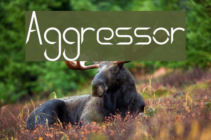 Aggressor फ़ॉन्ट examples