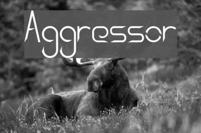 Aggressor Font examples