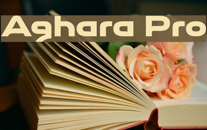 Aghara Pro Font examples