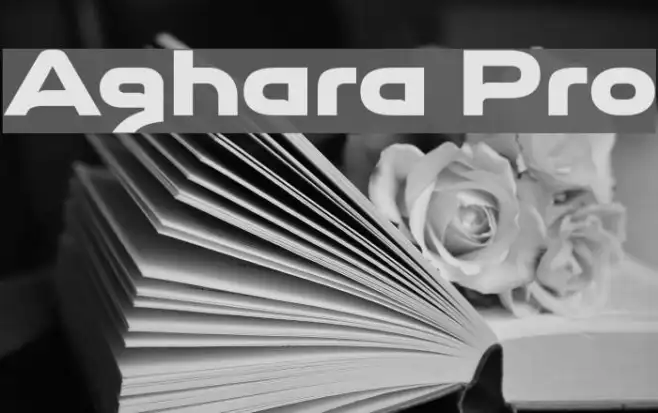 Aghara Pro Example 1