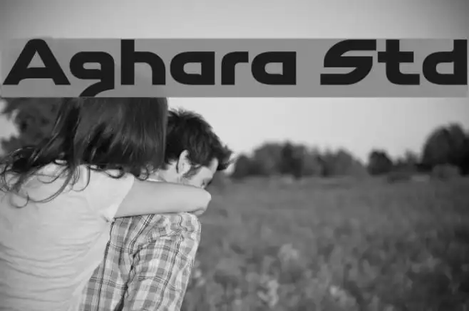 Aghara Std Example 2