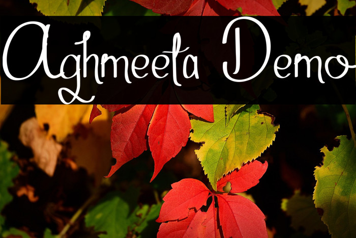 Aghmeeta Demo Example 1