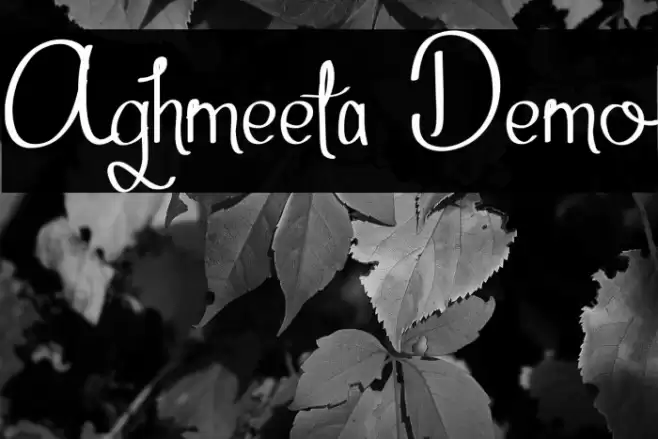 Aghmeeta Demo Font examples