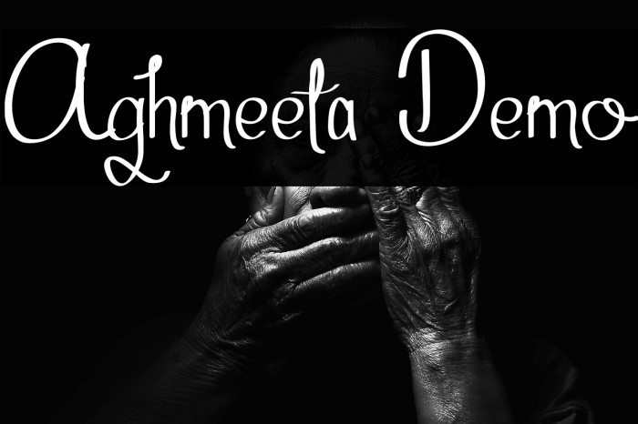 Aghmeeta Demo Example 2