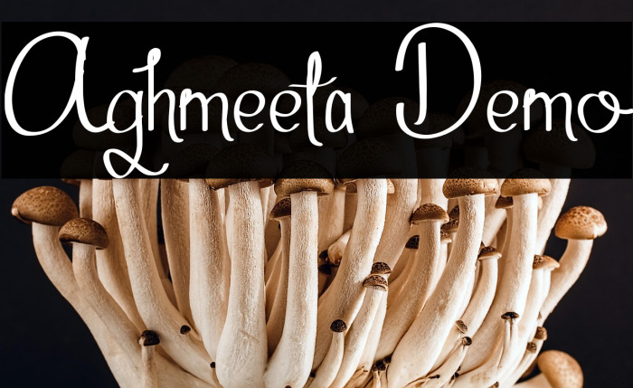 Aghmeeta Demo Example 3