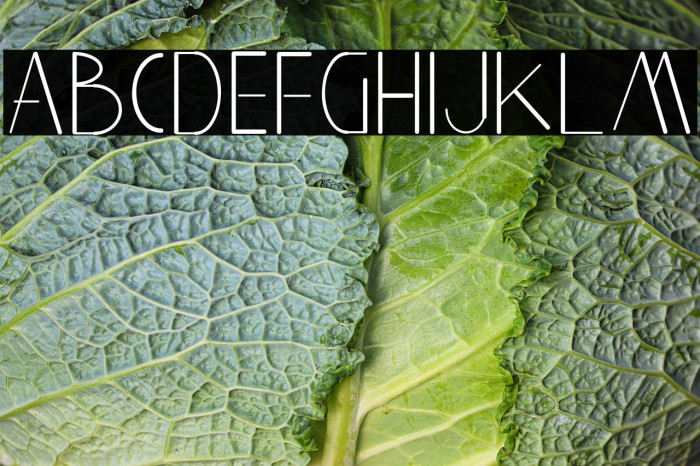 Aghnestademo Sans Example 1