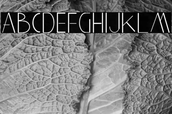 Aghnestademo Sans Font examples