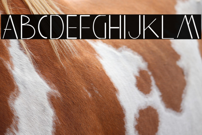 Aghnestademo Sans Example 2