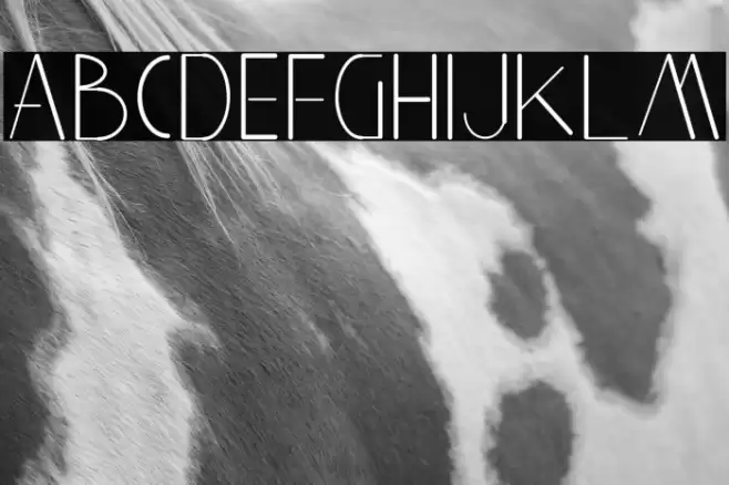 Aghnestademo Sans Font examples