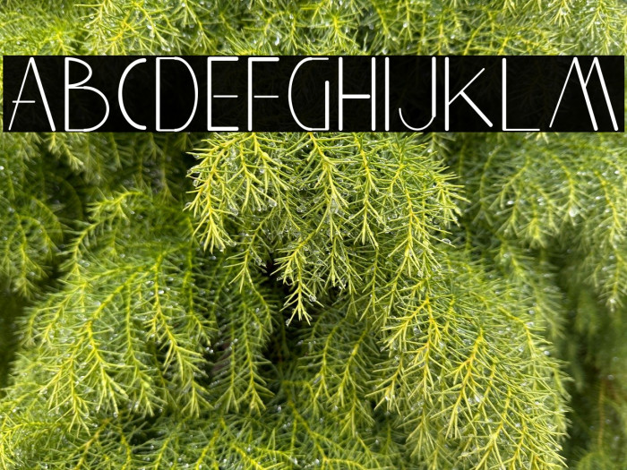 Aghnestademo Sans Example 3