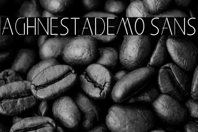 Aghnestademo Sans Font examples