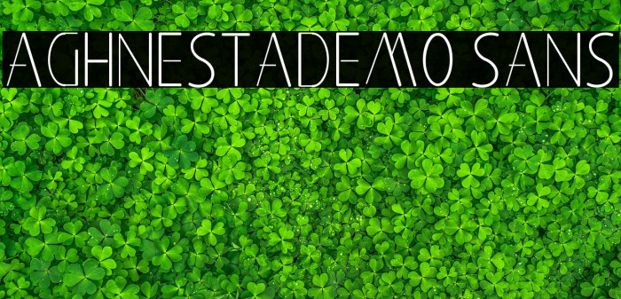 Aghnestademo Sans Example 2
