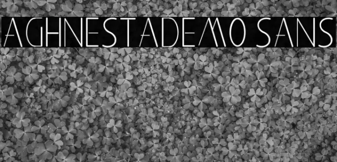 Aghnestademo Sans Font examples
