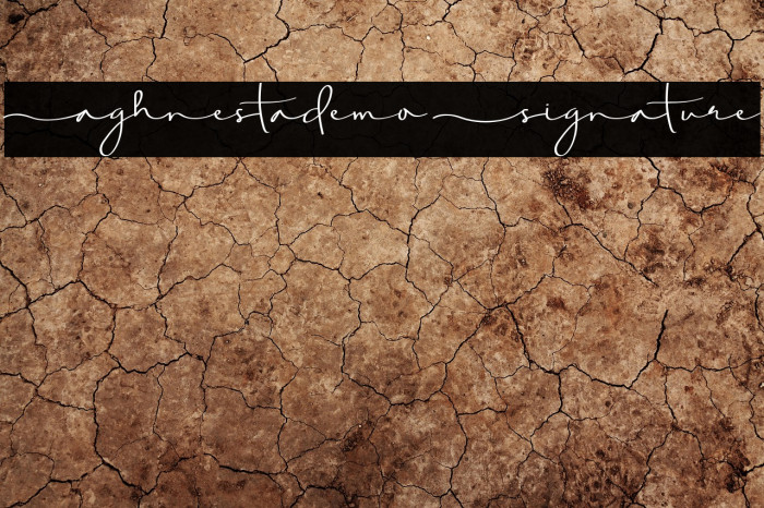 Aghnestademo Signature Example 1