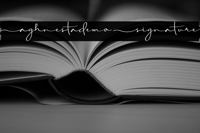 Aghnestademo Signature Example 2