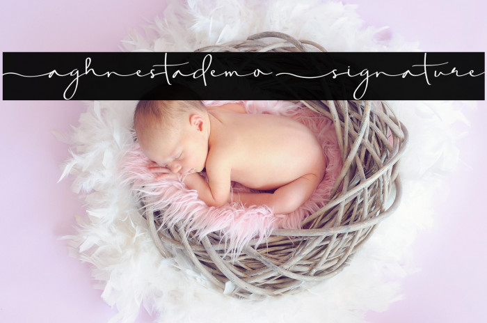 Aghnestademo Signature Example 3