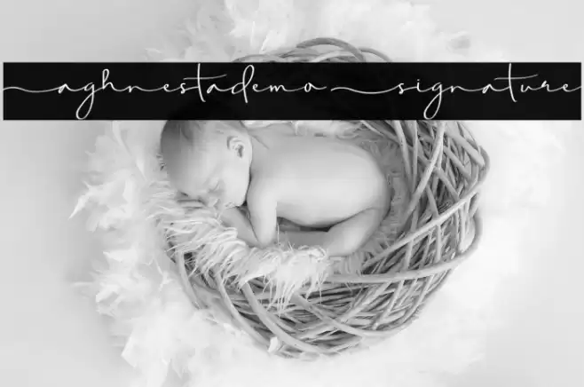 Aghnestademo Signature Font examples