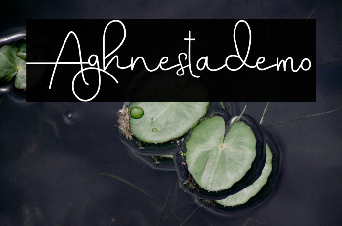 Aghnestademo Example 1