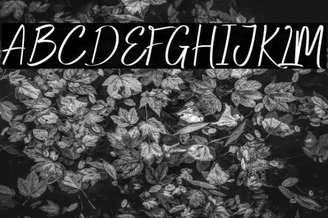 Agia Valley Example 3