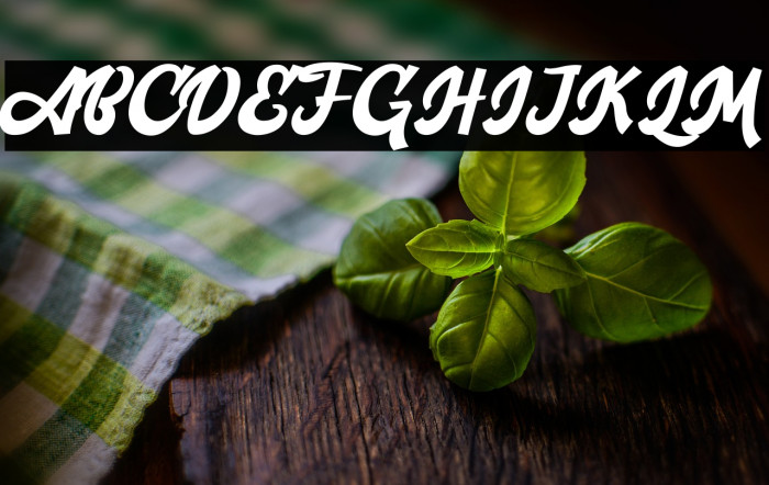 Agies Fresh Example 3