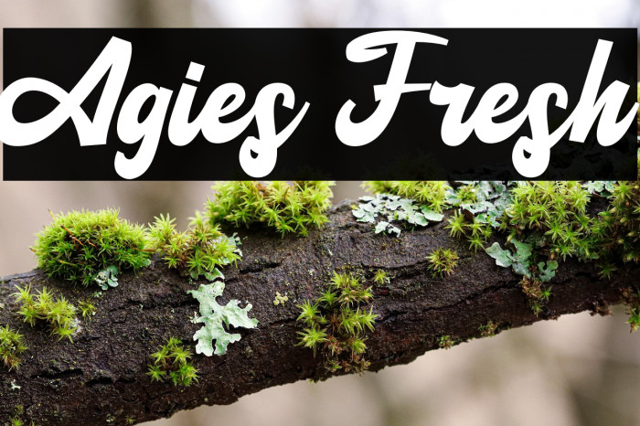 Agies Fresh Example 1