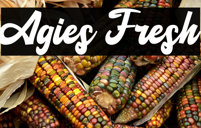 Agies Fresh Example 3