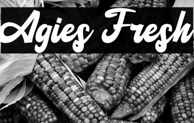 Agies Fresh Font examples