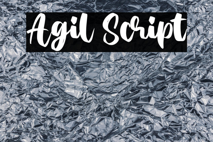 Agil Script Example 1