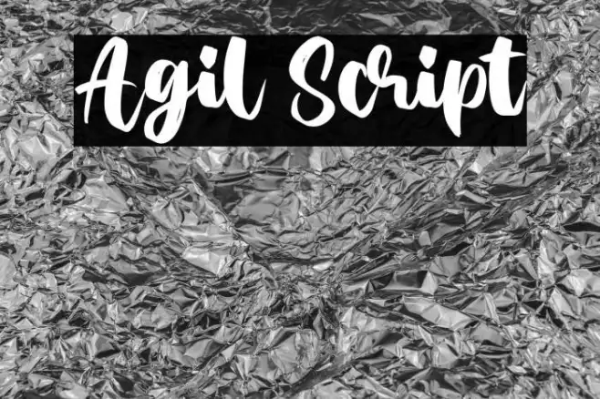 Agil Script Example 1