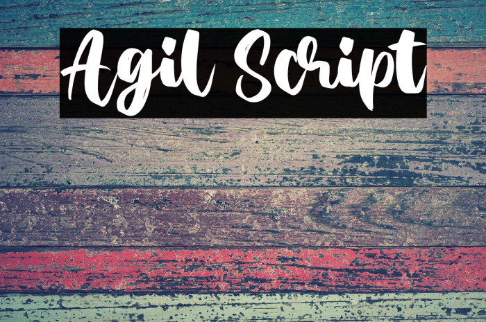 Agil Script Example 2