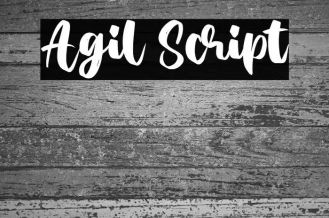 Agil Script Example 2