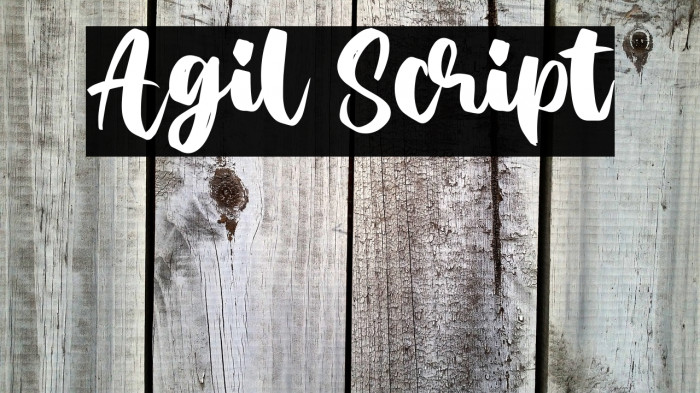 Agil Script Example 3