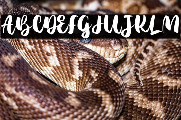 AgilScript Example 1