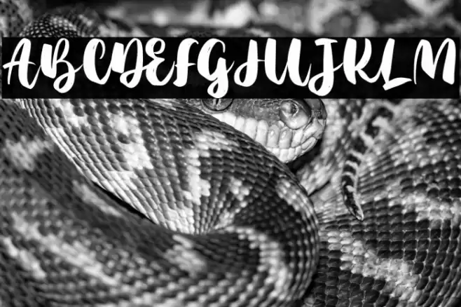 AgilScript Font examples