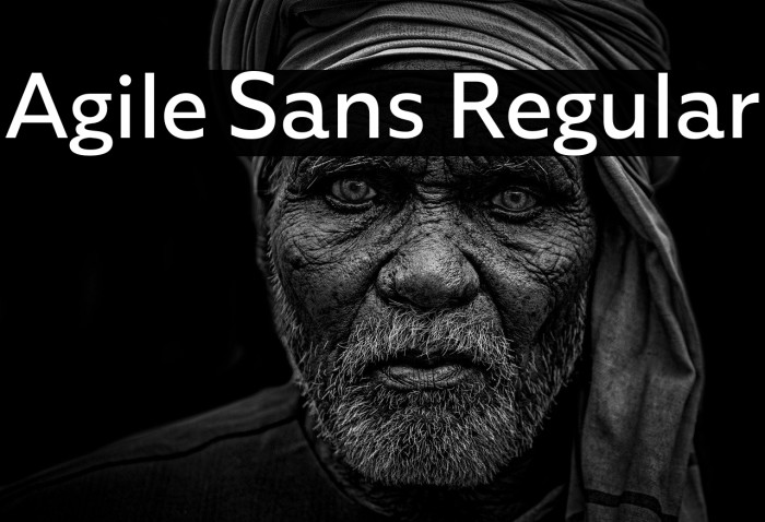 Agile Sans Regular Example 1