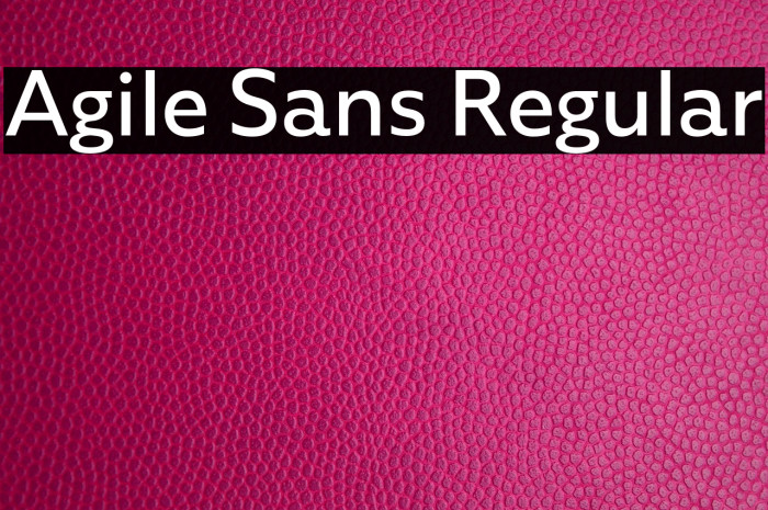 Agile Sans Regular Example 2
