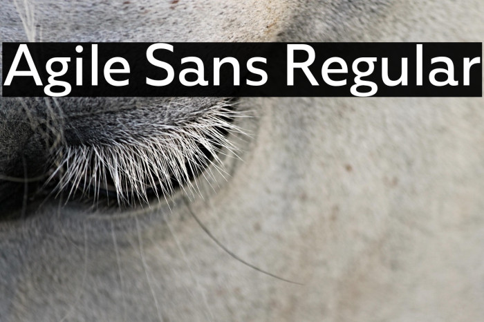 Agile Sans Regular Example 3