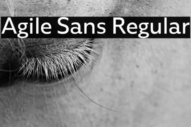 Agile Sans Regular Example 3