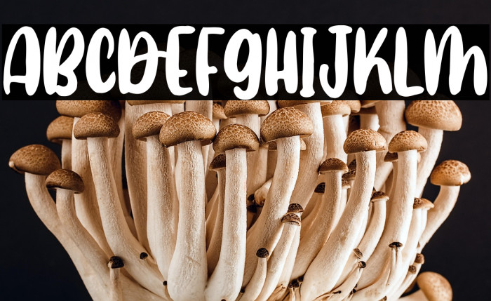 Agile Sloth Example 2