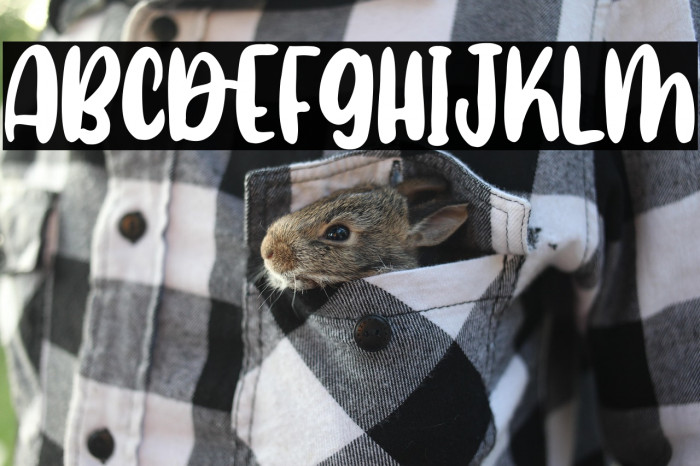 Agile Sloth Example 3